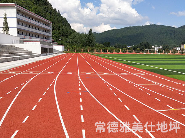 銅仁中學(xué)塑膠跑道、草坪